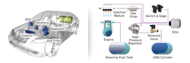 CNG Bi-fuel system